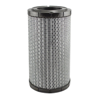 Baldwin Filters RS5761 RS5761 Radial Seal Cab Air Element