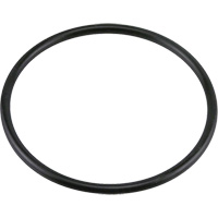 Baldwin Filters G438 G438 Joint torique en Buna-N