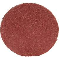 3M AB22408 Disque 361F Roloc, 1-1/2" dia., Grain P100, Oxyde d'aluminium