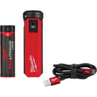 Trousse d'alimentation et de chargeur USB Redlithium<sup>MC</sup>, 4 V, Lithium-ion  UAG279 | TENAQUIP