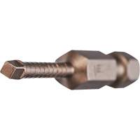 Vega P170R2A Embout pour outils &eacute;lectriques Impactech, Carr&eacute;e, Embout #2, Prise 1/4", Longueur 2-3/4"