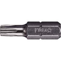 Vega 125IP40A Embout, Torxplus, 40, Prise 1/4"
