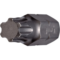 Vega 125IP40A Embout, Torxplus, 40, Prise 1/4"