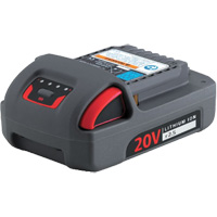 Ingersoll Rand BL2012 Batterie de s&eacute;rie IQV20, Lithium-ion, 20 V, 2,5 Ah