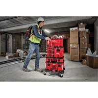 Milwaukee 48-22-8422 Coffre &agrave; outils compact Packout, 10" x 16-1/5" x 13", Noir/Rouge