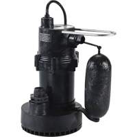 Pompe de puisard de série 5.5, 35 gal./min, 115 V, 3,5 A, 1/4 CV  UAK135 | TENAQUIP