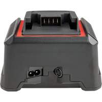 Ridgid 64383 Chargeur de batterie 2,5 Ah et 5,0 Ah, 120 V, Lithium-ion