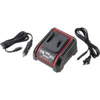 Ridgid 64383 Chargeur de batterie 2,5 Ah et 5,0 Ah, 120 V, Lithium-ion