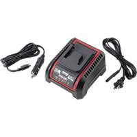 2.5 Ah & 5.0 Ah Battery Charger, 120 V, Lithium-Ion  UAK313 | TENAQUIP