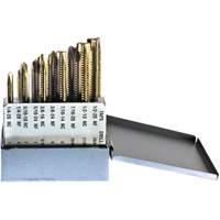 Drillco 2100A10 Jeu de tarauds Drillco, 10 morcea