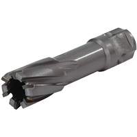 Walter Technologies Pour Surface 05H407 Couteau annulaire &agrave; tige universelle, Diam&egrave;tre de 1-7/16", Carbure, Profondeur de la coupe de 2", Tige 3/4"