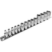 JET 601810 SS314TS  Standard External Socket Sets, Torx&reg;, 1/2"/1/4"/3/8" Drive, 14 Pcs