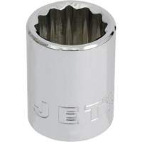 JET 671619 Chrome Socket, 19 mm, 3/8" Drive, 12 Points