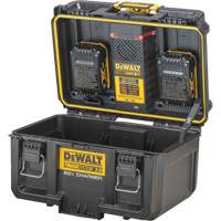 DEWALT DWST08050 Chargeur 20V &agrave; deux ports ToughSystem 2.0, 14" x 15" x 9", Noir/Jaune