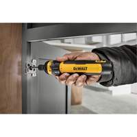 DEWALT DWHT66719 Jeu de tournevis sans fil de 14 morceaux avec commande FLEXDRIVE, 4 V, 44 lb-po/5 Nm couple max.