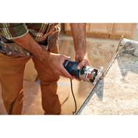 Bosch PR20EVS Colt Electronic Variable-Speed Palm Router