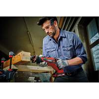 Einhell 4326311 Scie alternative professionnelle sans fil (outil seulement), 18 V, Lithium-ion Bloc-pile