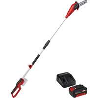 Einhell 3410583/4512132 Cordless Pole Chain Saw with 4Ah Battery & Charger Starter Kit