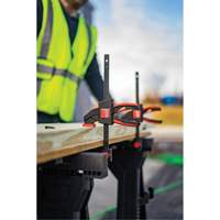 Bessey EHKM12 Serre-joints &agrave; g&acirc;chette, moyen format, 12" (304,8 mm)