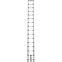 Telescopic Ladder, 3' - 15.5', Aluminum, 250 lbs. Capacity, Type 1  VC252 | TENAQUIP