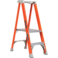 Industrial Heavy-Duty Pro Platform Stepladders (FXP1700 Series), 2', 300 lbs. Cap.  VD405 | TENAQUIP