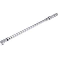 Proto J6013C Fixed Head Micrometer Torque Wrench, Click, 1/2" Square Drive, 50-250 ft-lbs.
