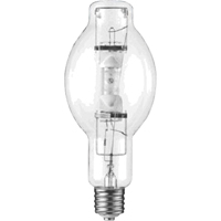 Ampoules de rechange  XC454 | TENAQUIP