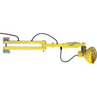 Dock Loading Lights with Flexible Arm, Incandescent Light, 40" Arm  XC462 | TENAQUIP