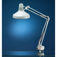 Heavy-duty Combination Task Light, 22/60 W, Fluorescent/Incandescent, 45" Neck, Grey  XC476 | TENAQUIP