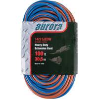 Outils Aurora XC502 Cordon rallonge en caoutchouc TPE avec indicateur lumineux, Toutes saisons, SJEOW, AWG 14/3, 13 A, 100'