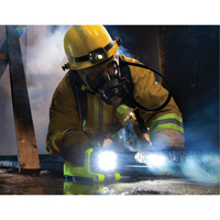 Pelican 9415-002-245 Lantern, LED, 588 Lumens, C Batteries