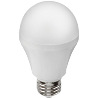 LED Bulb, A19, 9.5 W, 800 Lumens, Medium Base XE482 | TENAQUIP