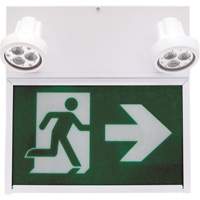 Running Man Exit Sign, LED, Battery Operated/Hardwired, 12" L x 12 1/2" W, Pictogram  XE664 | TENAQUIP