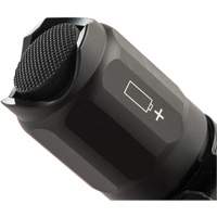 Pelican 070000-0001-110 Lampe de poche tactique de s&eacute;rie 7000, DEL, 774 lumens, Piles CR123