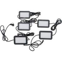 Outils Aurora XI021 Chaîne de baladeuses DEL, 5 Lumi&egrave;res, 50' lo, Boîtier en Plastique