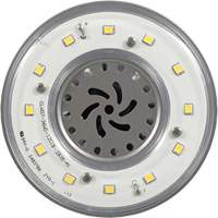 Ultra LED™ High Lumen Lamp, HID, 36 W, 5200 Lumens, Mogul Base  XI557 | TENAQUIP