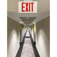 Zenith Safety Products XI788 Exit Sign, LED, Battery Operated/Hardwired, 12-1/5" L x 7-1/2" W, English
