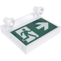 Running Man Sign with Security Lights, LED, Battery Operated/Hardwired, 12-1/10" L x 11" W, Pictogram XI790 | TENAQUIP