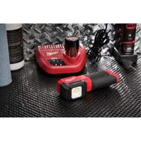 Milwaukee 2127-20 M12 Paint and Detailing Color Match Light, LED, 1000 Lumens
