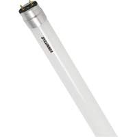 SubstiTUBE<sup>®</sup> Frosted Glass LED Bulb, 12 W, T8, 5000 K, 48" L  XJ097 | TENAQUIP