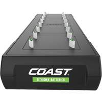 Coast 31190 Poste de charge Zithion-X ZXCS16
