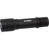 Outils Aurora XJ596 Lampe de poche IP67, DEL, 2000 lumens, Piles Rechargeable
