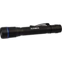 Outils Aurora XJ597 Lampe de poche IPX7, DEL, 250 lumens, Piles AA