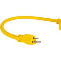 Outils Aurora XJ627 Adaptateur de rallonge d'alimentation, Ext&eacute;rieur, STOW, AWG 12/3, 15 A, 3 prise(s), 2'