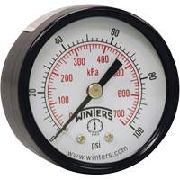 Winters PEM1409 Economy Pressure Gauge, 2" , 0 - 160 psi, Back Mount, Analogue