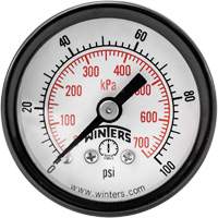 Winters PEM1420 Economy Pressure Gauge, 1-1/2" , 0 - 100 psi, Back Mount, Analogue