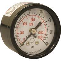 Economy Pressure Gauge, 1-1/2" , 0 - 160 psi, Back Mount, Analogue  YB873 | TENAQUIP