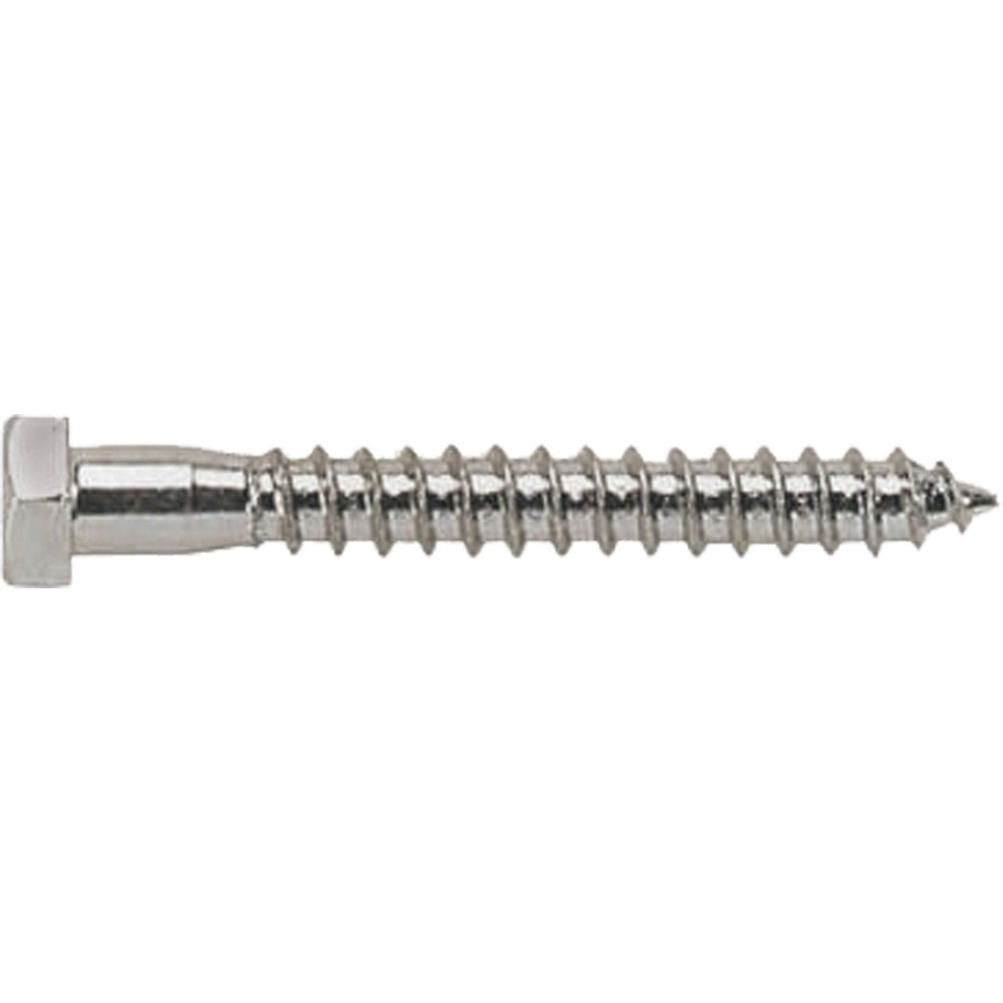 Lag Screw MMQ156 Shop Lag Screw TENAQUIP