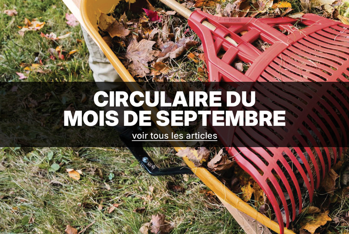 Aubaines mensuelles