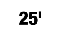 25 inch